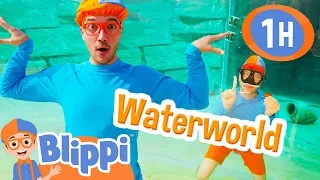 Blippi Explores A Water Park! | Blippi Treasure Hunt | Educational Videos for Kids