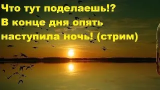 Что тут поделаешь!? В конце дня опять наступила ночь! (стрим)