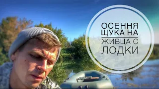 Щука на живца с лодки #щуканаживца #ловлящуки