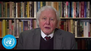 Sir David Attenborough on Climate and Security - Security Council Open VTC