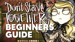Don't Starve Together | Beginner's Guide - Tips and Tricks