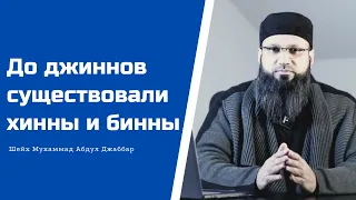 До джиннов существовали хинны и бинны. Шейх Мухаммад Абдул Джаббар