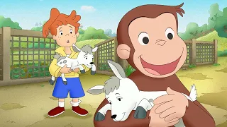 La granja 🐑 Jorge El Curioso En Español