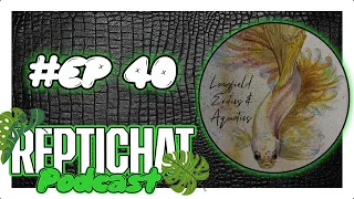 ReptiChat #Ep 40 - Michael from Longfield Reptiles Monitors, Skinks, Snakes and much more!