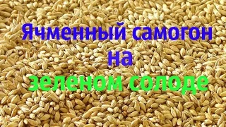 Домашний самогон из ячменя на "зеленом" солоде. Часть 1 (приготовление браги).