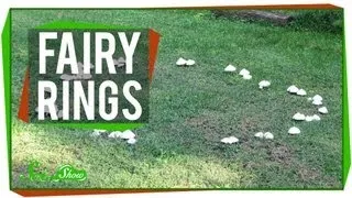 Fairy Rings