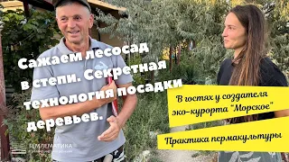 Секретная технология посадки деревьев в засушливой местности.