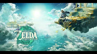 Colgera Wind Dungeon Boss Battle | Zelda Tears of the Kingdom Soundtrack