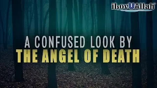 A Confused Look By The Angel Of Death