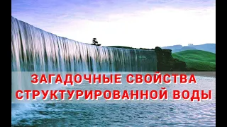 Обсуждение свойств структурированной воды в рамках программы  "ПИР здоровья"