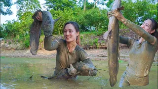 Harvesting Giant Catfish At The Farm - Grilled Catfish - Spring Crop Care | My Free Life