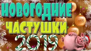 Частушки! С годом хрюшки! 2019!