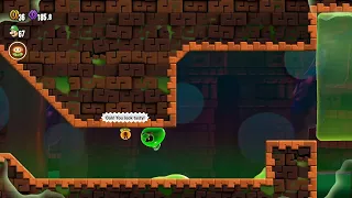 Gooigi Is Tasty - Super Mario Wonder