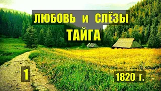 ТАЁЖНЫЙ РОМАН ЖИЗНЬ в ТАЙГЕ КАК ЖИЛИ ИСТОРИЯ СЛУЧАЙ ИСТОРИИ из ЖИЗНИ ОТНОШЕНИЯ ДОМ в ЛЕСУ СЕРИАЛ 1