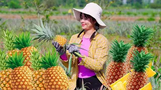 Harvesting Pineapple, Selling At The Market, Countryside Daily Life | Countryside Family