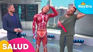 ¿Cómo aliviar las contracturas musculares? Un experto lo explica | Hoy Día | Telemundo