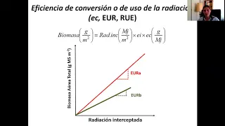 Ecofisiología de la Producción Vegetal - Clase Crecimiento III. MSc. Cecilia Cerliani