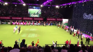 Crufts 2017 Eukanuba World Challenge Open and semi Final