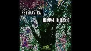 Psyshastra - Celestial Restlessnesses