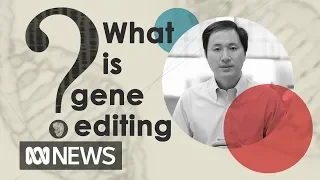 Why gene editing is so controversial | The World