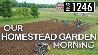 Our Homestead Garden Morning