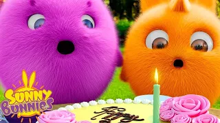 Make a Wish | Sunny Bunnies | Cartoons for Kids | WildBrain Bananas