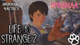 Life is Strange 2 - Правила