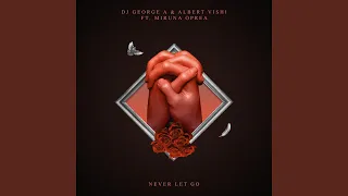 Never Let Go (feat. Miruna Oprea & Albert Vishi)