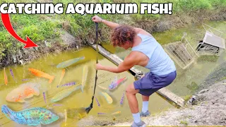 I Found POLLUTED SPILLWAY Filled With AQUARIUM FISH!