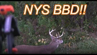 Bow hunting New York Big Buck Kill 2016