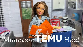Miniature Temu Haul | New Doll Clothes | Temu
