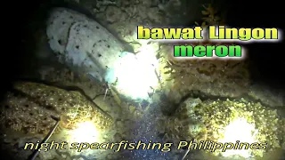 ep79 night spearfishing Philippines bawat Lingon meron | kabogsay tv