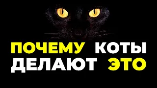 🔥 ВОТ Почему Кошка Спит на Человеке - Народные Приметы