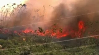 California wildfire prompts evacuations