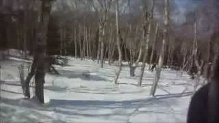 Backcountry skiing White Mountains, Hale, Peaked