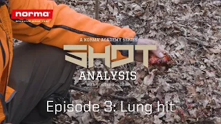 Roe Deer Shot Analysis | Lung Hit | Norma Academy