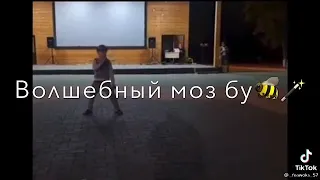 хьо са хаза моза бу , зебрах тера бу 😂😂❤