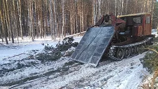 т4 трелевка 25 хлыстов