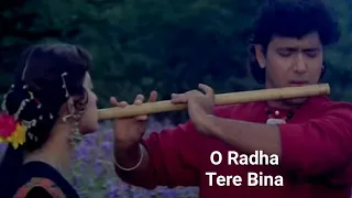 O Radha Tere Bina | Full Song | Sabir Kumar & Lata Mangeshkar | Radha Ka Sangam 1992