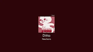 [1hour loop] NewJeans - Ditto (뉴진스 신곡 디토 1시간 반복)