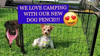 Our dogs love camping with their new Zeny dog fence!  Dog fence review
