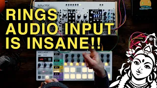 Mutable Instruments Rings is still one of the BEST modules!! PART 2