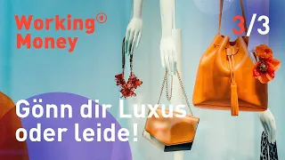 Gönn dir Luxus oder leide | Working Money - Die Geldhilfegruppe | Folge  3/3 | S01E03