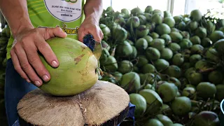 Coconut cutting skill !!!Coconut water and coconut bread making!!!/Thai Street Food