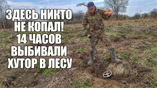 НАШЛИ НЕТРОНУТЫЙ ХУТОР В ЛЕСУ! Поиск золота с металлоискателем / Russian Digger