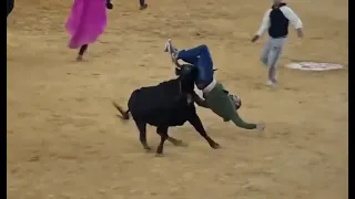 ОПАСНЫЕ ИГРЫ С БЫКОМ НО ОЧЕНЬ СМЕШНО!!!!!!!!DANGEROUS GAMES WITH A BULL BUT VERY FUNNY !!!!!!!!