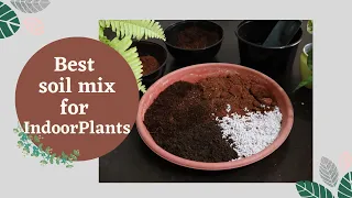 My House Plants Soil Mix | How to Make Best Soil Mix/ Potting Mix for Indoor Plants