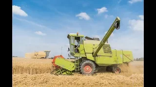 Old school 2k19 harvest in France!  | Claas Mercator 75 | New Holland / Clayson 8060