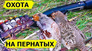 Большая охота на пернатых. Охота. (Охотник и рыболов)