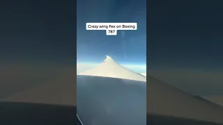 Crazy Wing Flex on Boeing 787